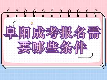 阜陽成考