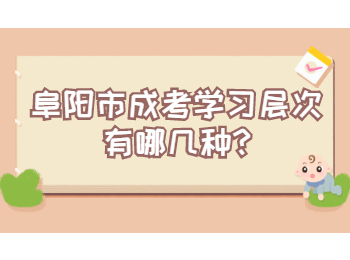 阜陽市成考學(xué)習(xí)層次有哪幾種
